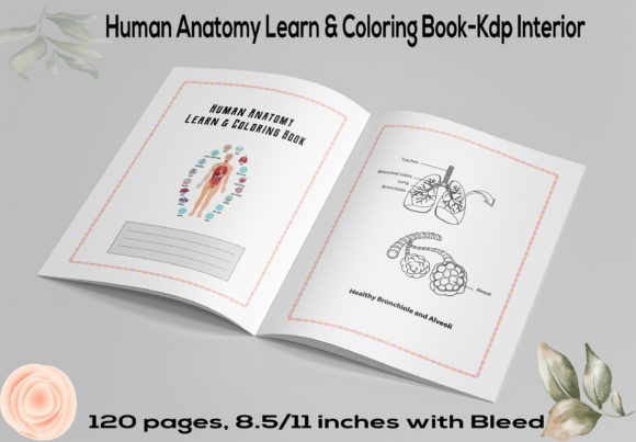 Unlock Creativity: A Guide to the Human Anatomy Coloring Book-2